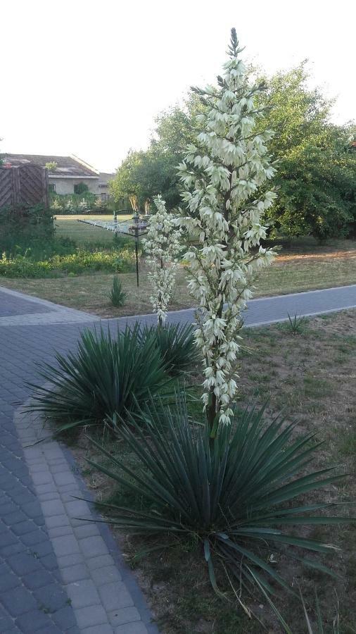 Apartament Wolin Nad Woda Kolo Miedzyzdrojow Esterno foto